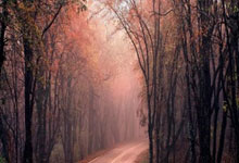 中国女足实力展现，获得成功