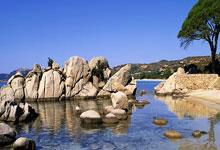 中国女足实力展现，获得成功